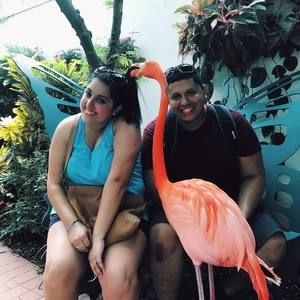 Meet your Posher, Christian